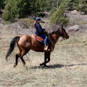 Meet your Posher, Hannah